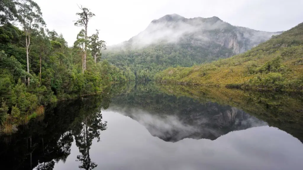Tasmanian wilderness is an Australian temperate rainforests