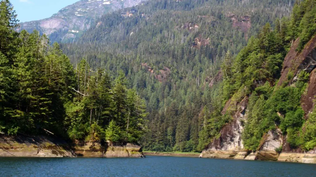 TONGASS MPERATE RAINFORESTS