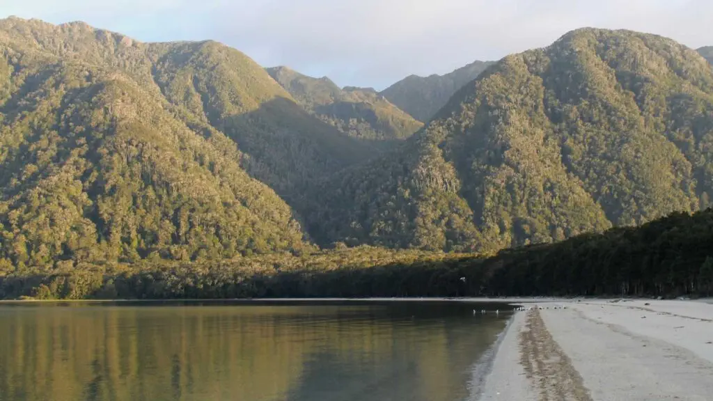 The Valdivian Temperate rainforests