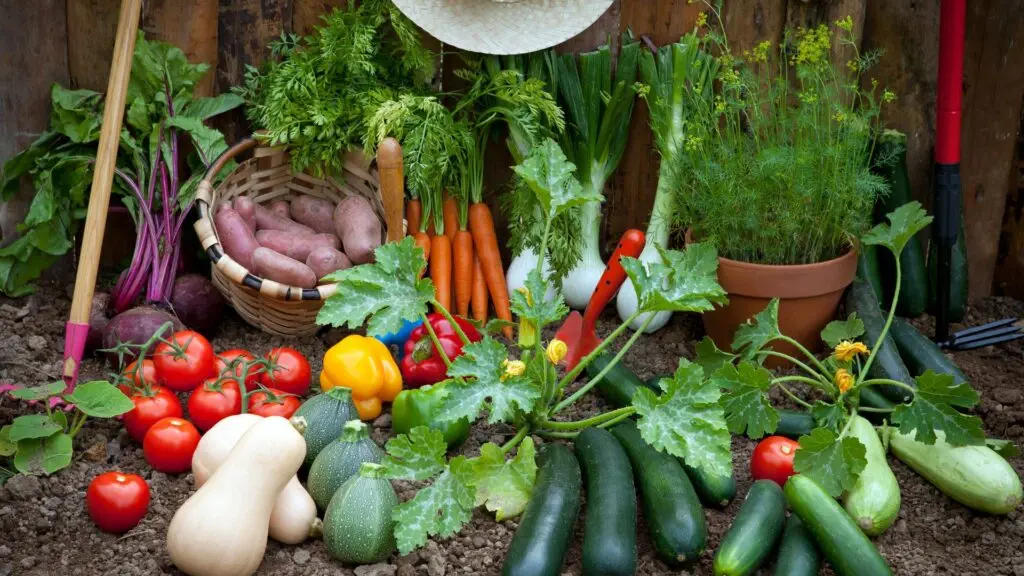 agriculture and climate change