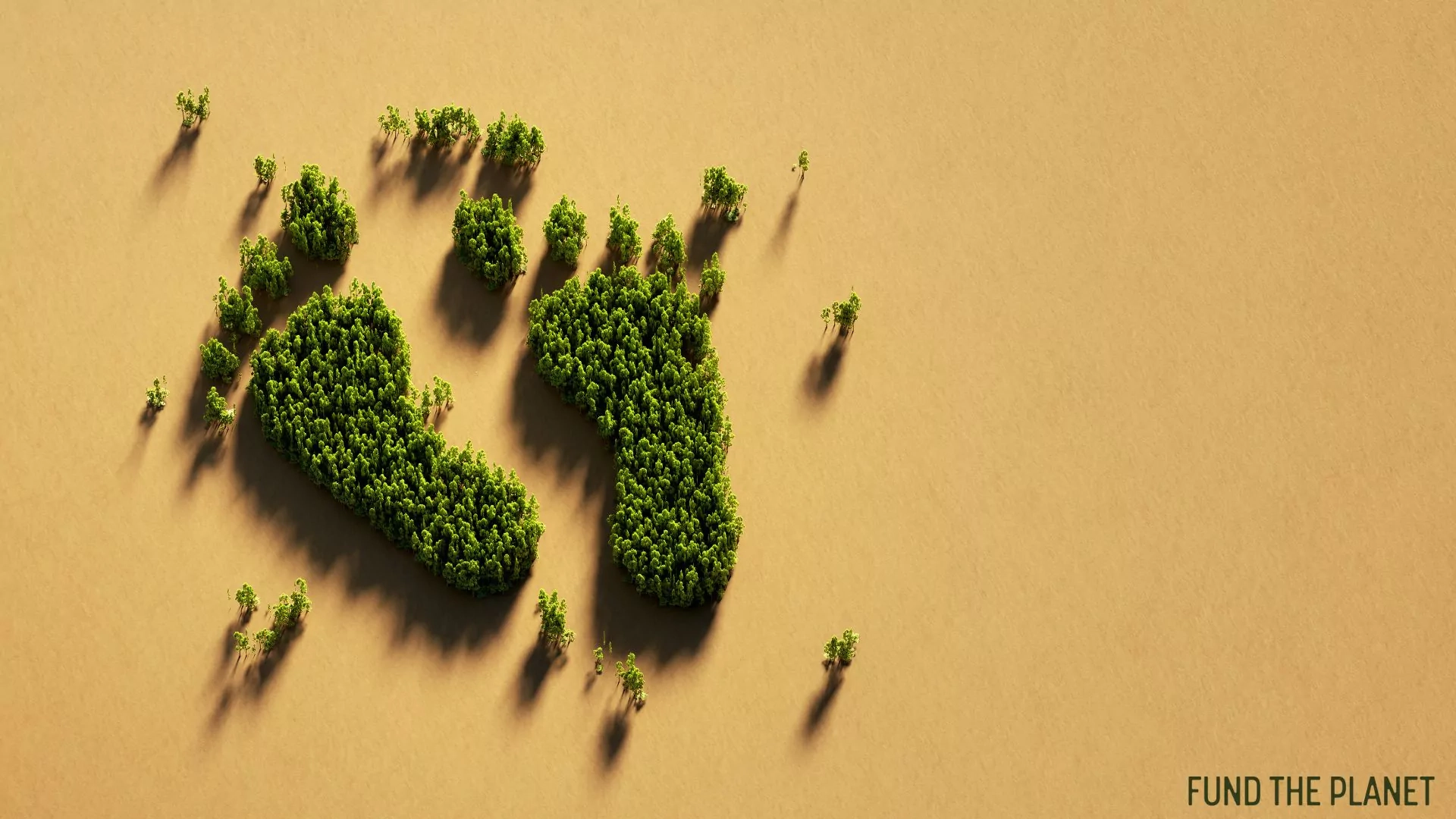 Kohlenstoff-Fußabdruck und Regenwald