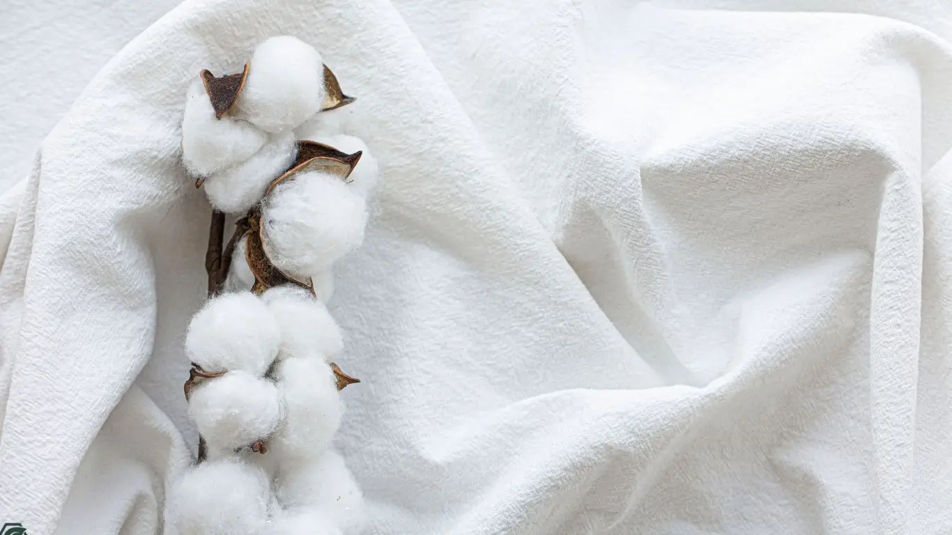 Environmental effects of Cotton