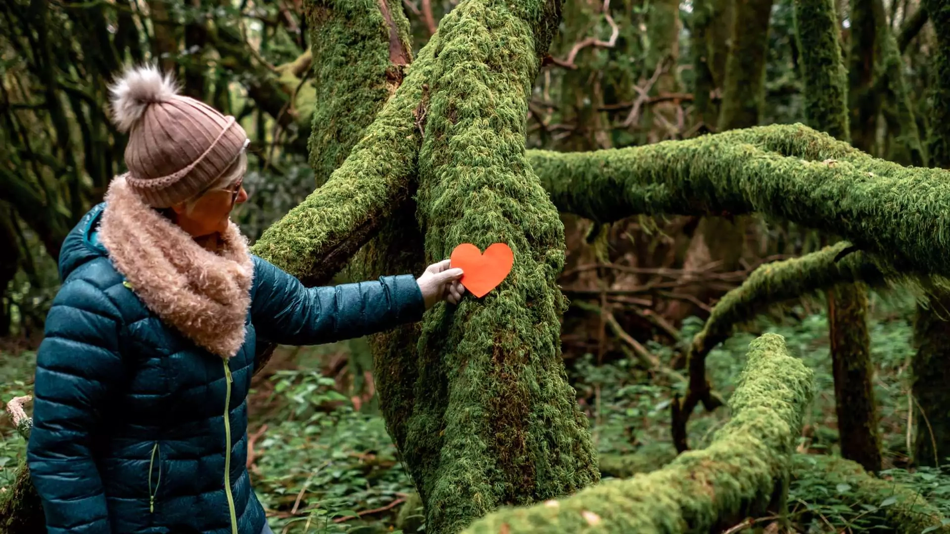 Environmental Protection