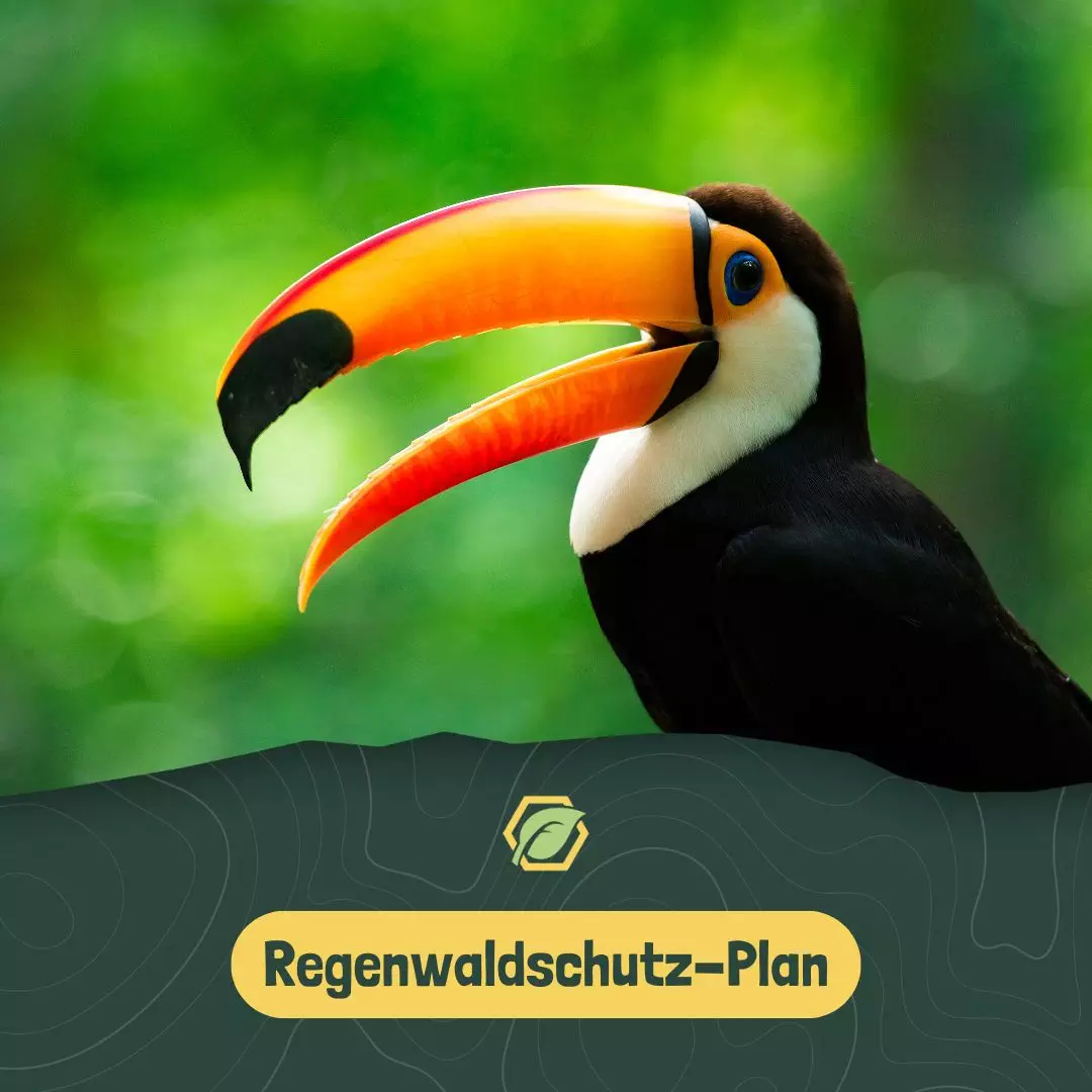 Regenwaldschutzplan