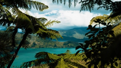 Tropischer Regenwald