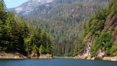 TONGASS MPERATE REGENWÄLDER