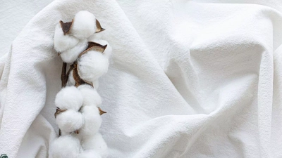 Umweltauswirkungen von Baumwolle