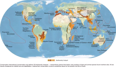global biodiversity hotspots