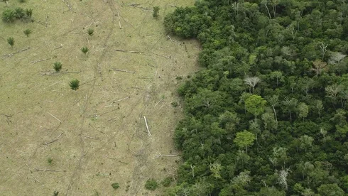 Der Amazonas nähert sich schnell seinem Kipppunkt, der bei 25% der gesamten Abholzung des Amazonas liegt.