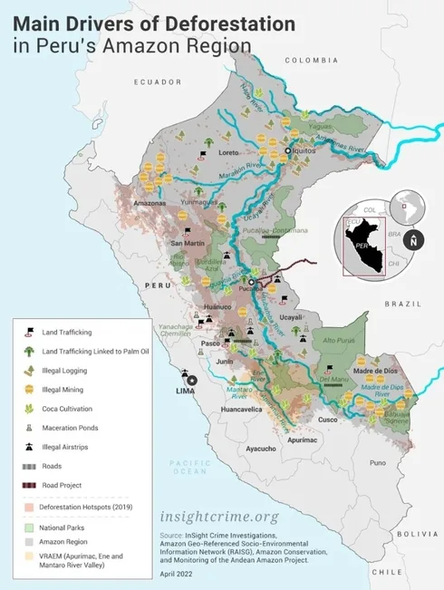 Hauptursachen für die Abholzung des peruanischen Amazonas-Regenwaldes.