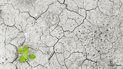 5 Gründe, über den Klimawandel besorgt zu sein
