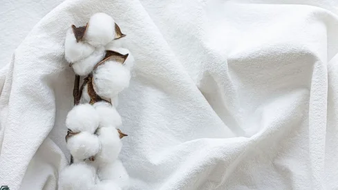 Environmental effects of Cotton